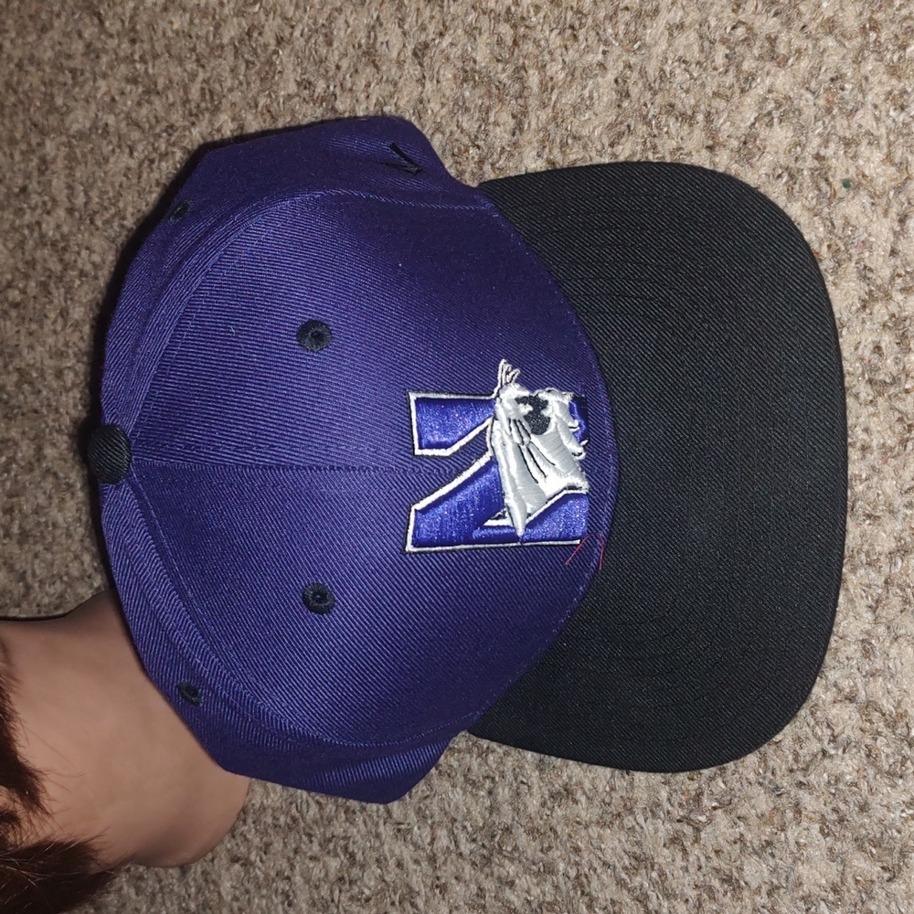 Zephyr Northwestern Wildcats Embroidered Logo Snapback Cap Hat Purple Black